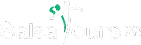 salsatourspr logo